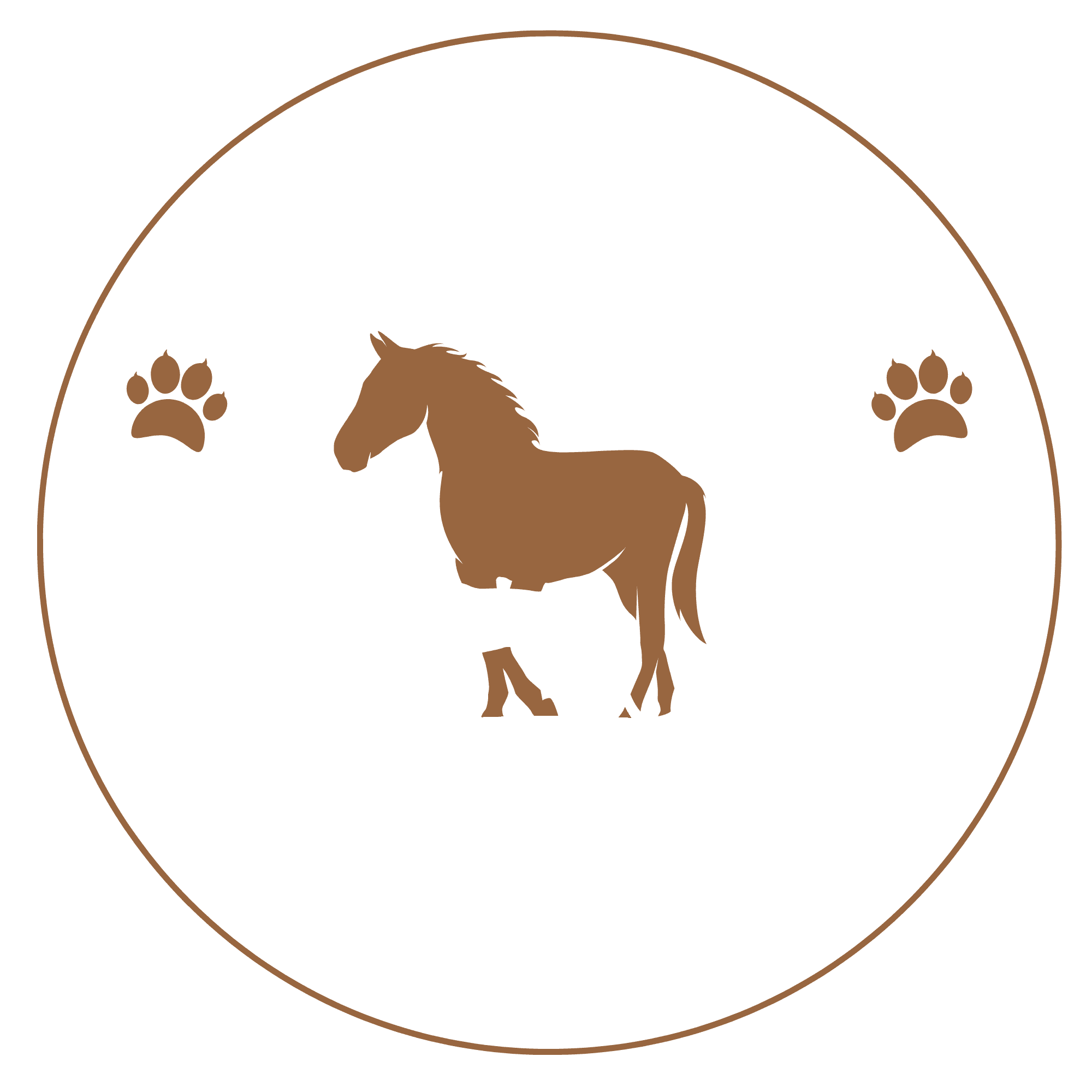 Jungle Time Safaris